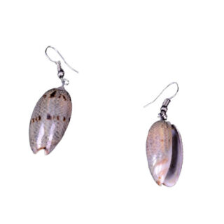 A PAIR OF POLISHED COWRIE SHELLS EARRINGS